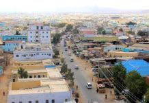 Ciidamada Ammaanka Puntland oo toogtay nin Ajnabi ah Miino aasayay