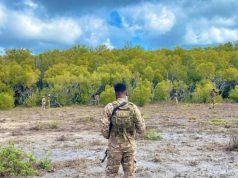 DFS oo sheegtay in AS badan lagu dilay howlgal ka dhacay Jubbada Hoose.