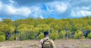 DFS oo sheegtay in AS badan lagu dilay howlgal ka dhacay Jubbada Hoose.