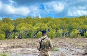 DFS oo sheegtay in AS badan lagu dilay howlgal ka dhacay Jubbada Hoose.