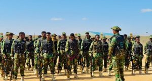 Taliska Daraawiishta Jubbaland ee Degmada Doolow Oo Soo Saaray Amarro Cusub Oo Lagu Adkaynayo Amniga