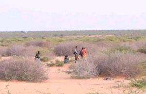 Dad shacab ahaa oo goordhaw aano qabiil loogu dilay gobolka Galgaduud