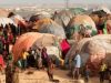 Waa imisa tirada Qaxootiga ajnabiga ah ee ku sugan gudaha Somalia?