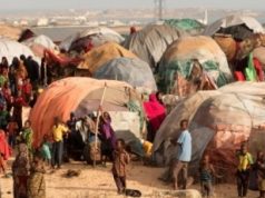 Waa imisa tirada Qaxootiga ajnabiga ah ee ku sugan gudaha Somalia?