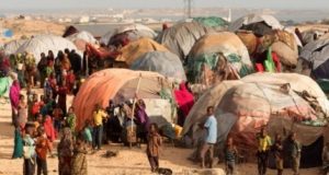 Waa imisa tirada Qaxootiga ajnabiga ah ee ku sugan gudaha Somalia?