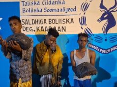 Maamulka Degmada Kaaraan oo gacanta kusoo dhigay rag keydinayay maandooriye