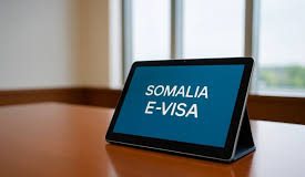 fiisaha elektaroonigga ah ee Soomaaliya uu si lama filaan ah hawada uga baxay