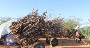 Amnesty International “Dowladda Soomaaliya iyo Beesha Caalamka waxay dayaceen kumannaan qof oo abaartu dishey Koonfurta Soomaaliya”