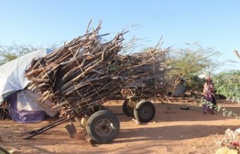 Amnesty International “Dowladda Soomaaliya iyo Beesha Caalamka waxay dayaceen kumannaan qof oo abaartu dishey Koonfurta Soomaaliya”