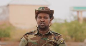 Maxaa ku dhacaya Xildhibaanka, haddii xasaanadda laga qaado?