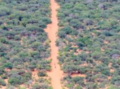 Wararkii Ugu Dambeeyay Dagaal beeleed ka dhacay xadka gobolada Hiiraan iyo Shabeellaha Dhexe