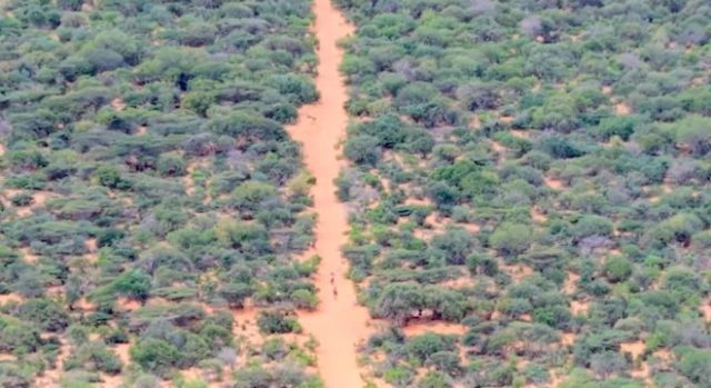 Wararkii Ugu Dambeeyay Dagaal beeleed ka dhacay xadka gobolada Hiiraan iyo Shabeellaha Dhexe