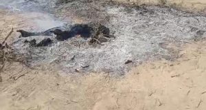 Saddex eedeysane oo loo soo xiray dilkii iyo gubistii nin dhimirka la’ ee ka dhacay Wanlaweyn