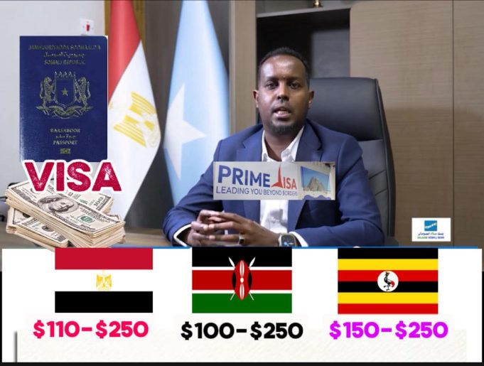 Qandaraasyada Visaha oo Hoos u Dhac ku Riday Qiimaha Baasaboorka soomaaliga.