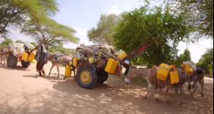 Qoysas badan oo Abaar darteed isaga barakacay deegaanno katirsan Jubada Hoose