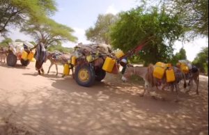 Qoysas badan oo Abaar darteed isaga barakacay deegaanno katirsan Jubada Hoose