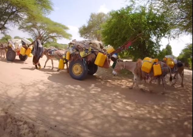 Dadka-ka-barakacay-Abaarta-Jubada-Hoose