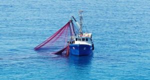 Maraakiibta Shiinaha oo lagu eedeeyay inay si xad dhaaf ah u guranayaan kaydka kalluunka Tuna ee Soomaaliya