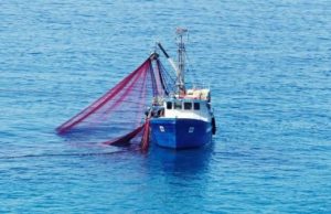 Maraakiibta Shiinaha oo lagu eedeeyay inay si xad dhaaf ah u guranayaan kaydka kalluunka Tuna ee Soomaaliya