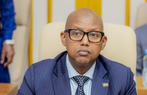 Somaliland oo ka hor timid amarka dowlada Soomaaliya, Imaataarka-na ku tilmaantay saaxiib