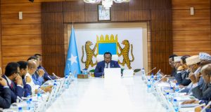 Golaha Wasiirrada Soomaaliya oo buriyey dhamaan Heshiisyadii Dowlada Soomaaliya la gashay Imaaraadka Carabta