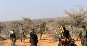 DFS oo xoojisay howlgallada ka dhanka ah Al-Shabaab ee Hirshabeelle