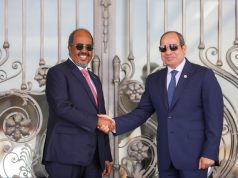 Maxay kawada hadlayaan Madaxweyneyaasha Soomaaliya & Masar?