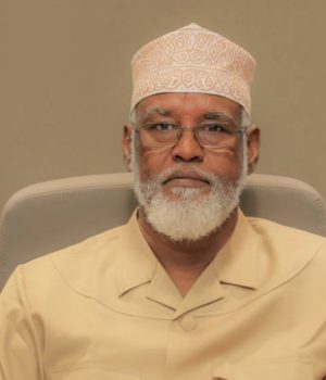 Axmed Madoobe oo ka tagay Muqdisho kadib fashilka wadaxaajoodyada dowladda iyo mucaaradka