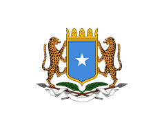 DFS oo dib u celisay Ciidankii hubaysnaa ee Siciid Deni & Axmed Madoobe iska soo hormariyeen