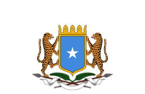 DFS oo dib u celisay Ciidankii hubaysnaa ee Siciid Deni & Axmed Madoobe iska soo hormariyeen