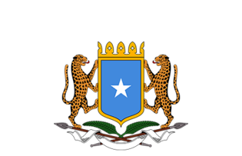 DFS oo dib u celisay Ciidankii hubaysnaa ee Siciid Deni & Axmed Madoobe iska soo hormariyeen