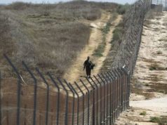 Kenya oo dib u furtay xuduudda Soomaaliya ee ganacsiga dhulka ee qaadka, kadib 15 sano oo xirnayd