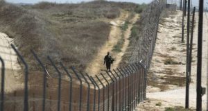 Kenya oo dib u furtay xuduudda Soomaaliya ee ganacsiga dhulka ee qaadka, kadib 15 sano oo xirnayd