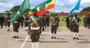 Xildhibaanno ka soo jeeda Buurhakaba oo ku eedeeyay Ciidamada Itoobiya faragelin siyaasadeed, una gudbiyay cabasho Midowga Afrika