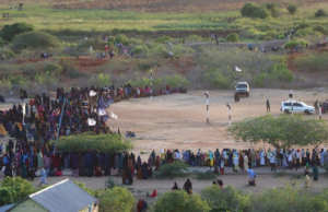 Alshabaab oo dilay 5 qof oo rayid ah oo ay ku eedeeyeen basaasmimo