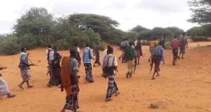 Dagaal beeleed ka dhacay Shabeelaha Dhexe oo lagu dilay walaalka Xildhibaan Xaadoole