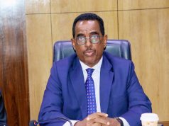 DFS oo sheegtay in ay hirgalineyso Dastuurka dalka oo ay ansixiyeen Baarlamaanka