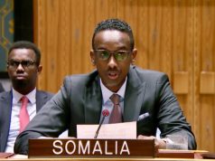 Soomaaliya oo cambaaraysay weerarrada Maraykanka iyo Israaiil ku qaadeen dalka Iiraan