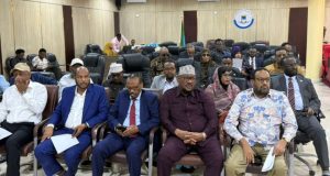 Golaha Wakiillada Jubbaland iyo Xildhibaannada Heer Federaal oo Kulan Wada-tashi Leh