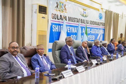 Golaha Mustaqbalka Soomaaliyeed oo Ka Digay Dib-u-Dhac ku yimaada Doorashooyinka Dalka