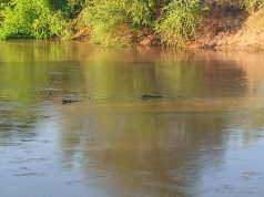 Dhageyso: Wabiga Shabeele oo biyo keenay &Saameynta isbadalka Cimilada