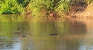 Dhageyso: Wabiga Shabeele oo biyo keenay &Saameynta isbadalka Cimilada