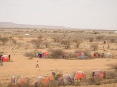 Dad isugu jira Xoolo dhaqato & Beeralay oo abaar darran ku haysato Deegaanno katirsan DG Koofur Galbeed