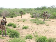 Hay’adaha ammaanka Federaalka oo wada howlgallo lagu soo qabanayo Dad dilal ka gaystay Duleedka Baydhabo