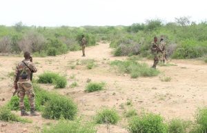 Hay’adaha ammaanka Federaalka oo wada howlgallo lagu soo qabanayo Dad dilal ka gaystay Duleedka Baydhabo