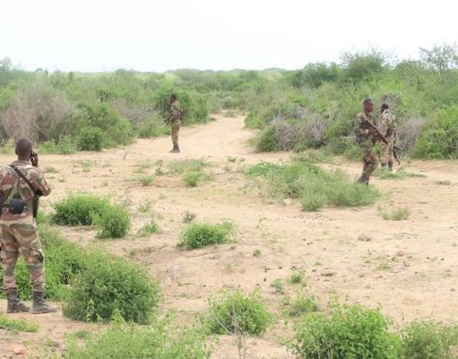 Hay’adaha ammaanka Federaalka oo wada howlgallo lagu soo qabanayo Dad dilal ka gaystay Duleedka Baydhabo