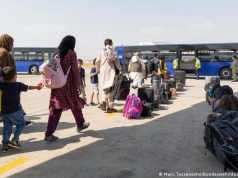 Dowladda Jarmalka oo shaacisay tirada Soomaalida aanay haysan sharciga wayn ee Dalkeeda