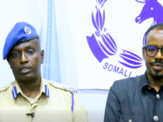 Taliska Booliska Baay oo mamnuucay in hubka culus lagu dhex qaato Gudaha magaalada Baydhabo