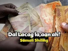 Lacagta Shilin Soomaaliga oo Isticmaalkeeda oo weli Laga Diiday Magaalada Muqdisho