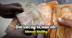 Lacagta Shilin Soomaaliga oo Isticmaalkeeda oo weli Laga Diiday Magaalada Muqdisho